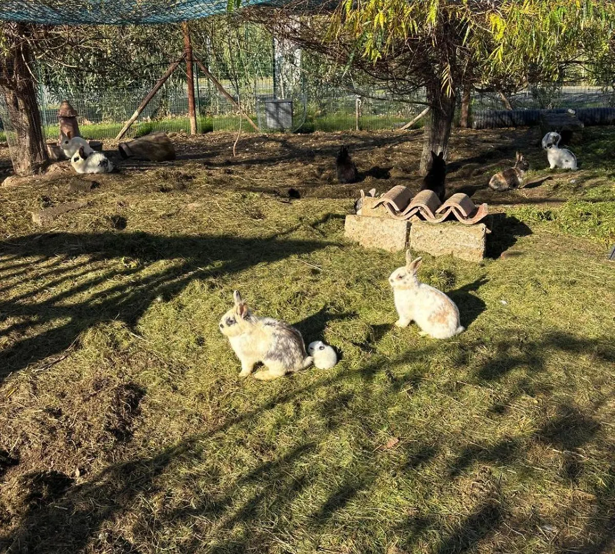 Aparthotel Fattoria Palazzeta - Pet & Family Friendly Cecina