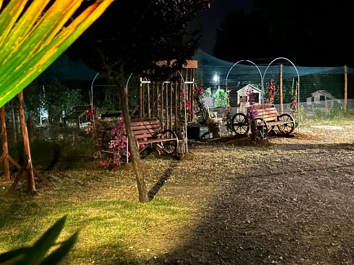 Fattoria Palazzeta - Pet & Family Friendly Aparthotel Cecina  0*, Cecina (Livorno) Italien